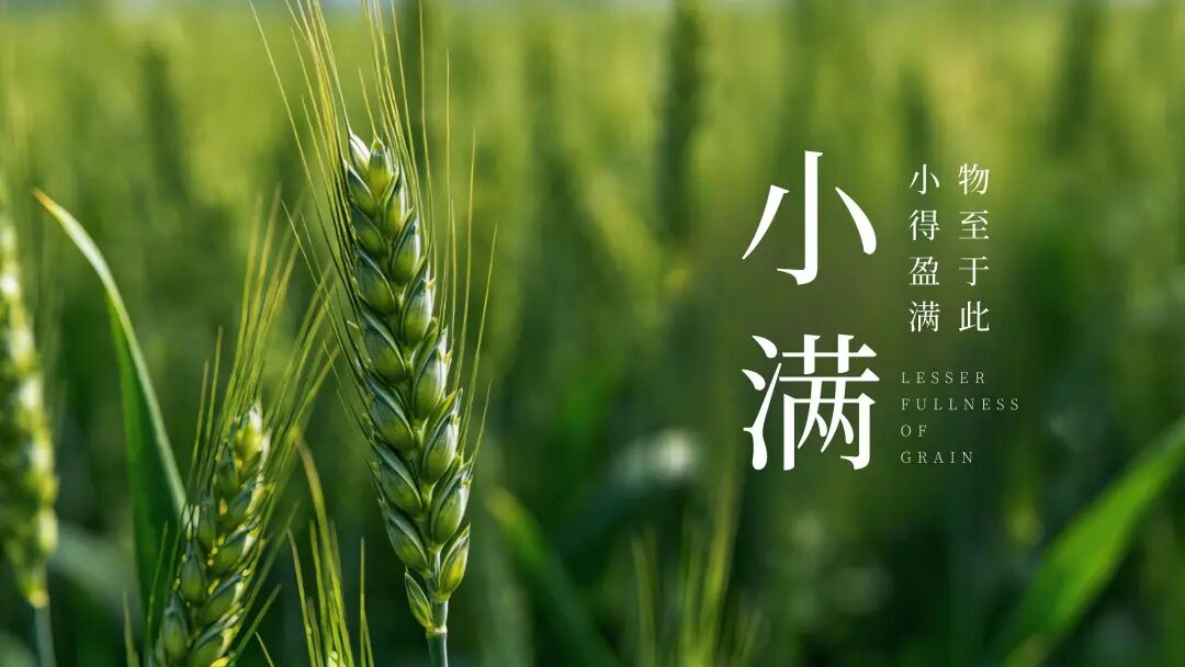 小满与建筑：不执着于极致，才有长久的舒适